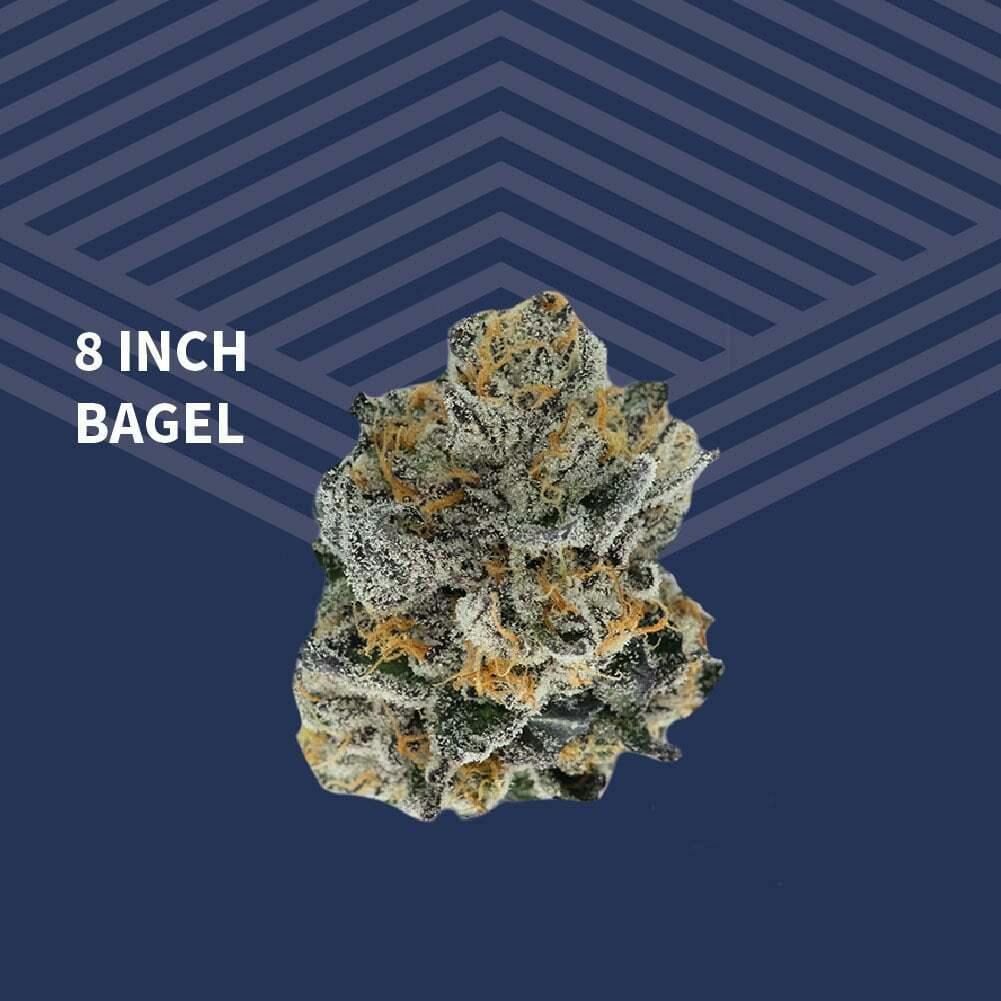 8 Inch Bagel