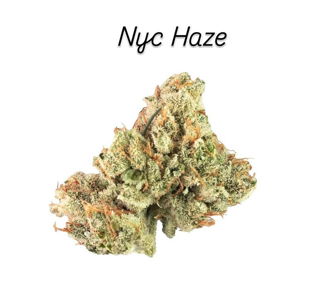 NYC Haze (SMALL BATCH indoor) | Flower | Sativa | 3.5g