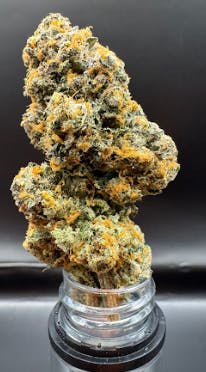1353 | Flower | Hybrid | 3.5g