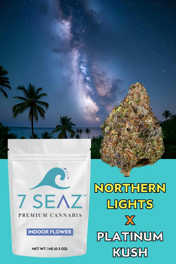 Northern Lights x Platinum Kush | Flower | Indica Dominant | 14g