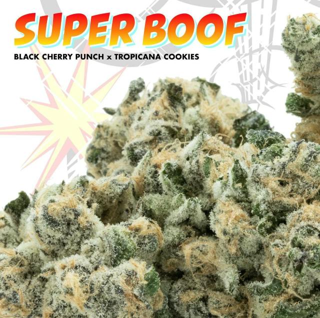 SUPER BOOF 7G