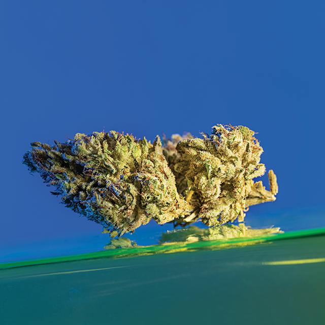 GRASSHOPPER GLUE #3 14G SUNKISSED *2 FOR 50*
