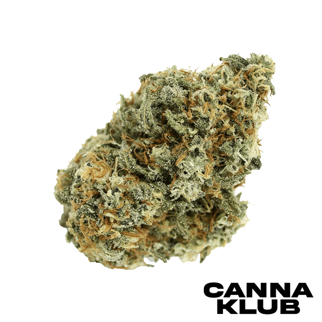 PEACH RINGS 3.5G LIVING SOIL ORGANIC