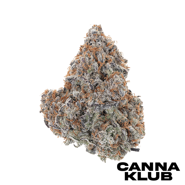 DEVIL DRIVER 3.5G at Canna Klub Luzerne, Recreational Marijuana Dispensary