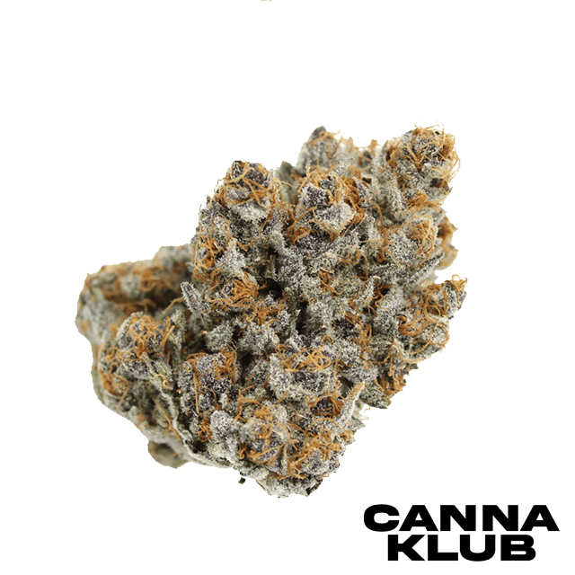 Jokers Wild Living Soil Organic