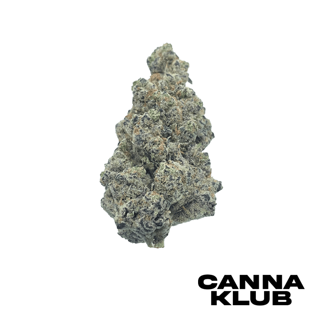 LEMON CHERRY GELATO X Z ANIMAL 14G *2 FOR 160*
