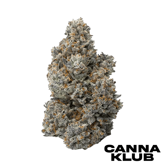 APPLE JAX 28G