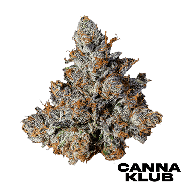 ZOUR RUNTZ 3.5G LIVING SOIL ORGANIC *SPECIAL* at Canna Klub Rose City, Recreational Marijuana Dispensary