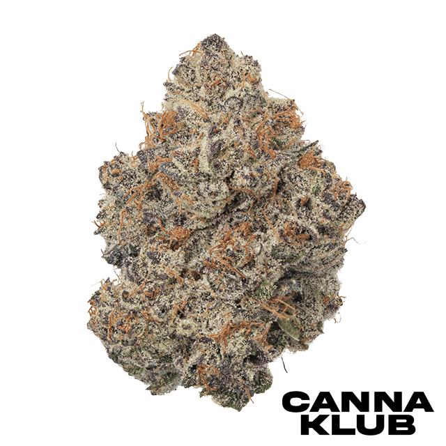 Lemon Cherry Fire Living Soil Organic 2 For 40