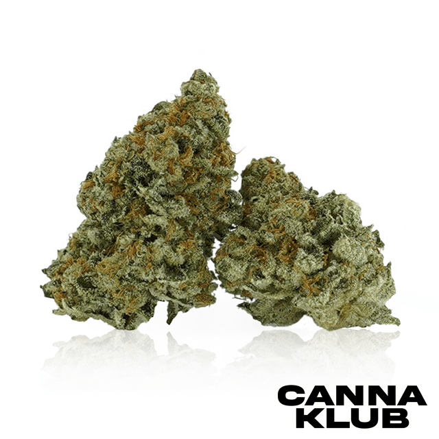 RUBY GRAND 7G *2 FOR 80*