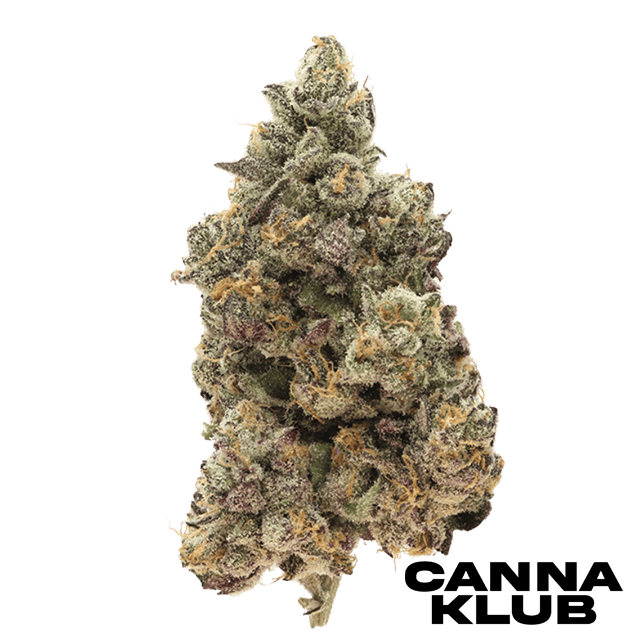 HONEY BANANA X RICK JAMEZ #8 3.5G