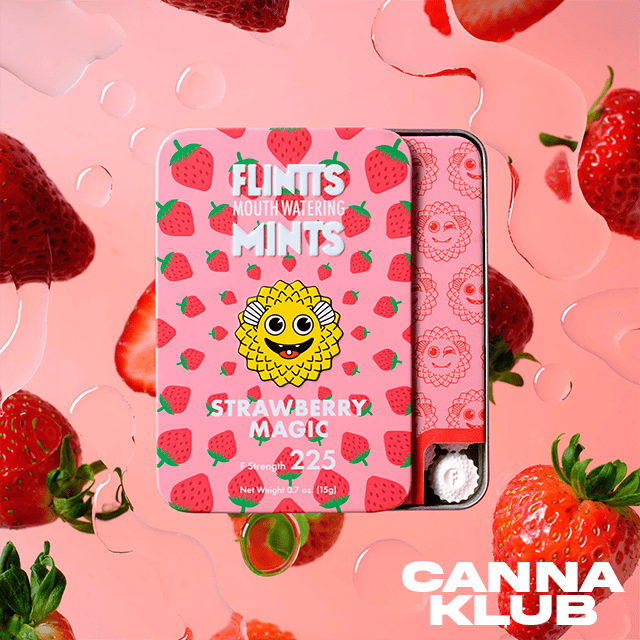 STRAWBERRY at Canna Klub Wolverine, Recreational Marijuana Dispensary
