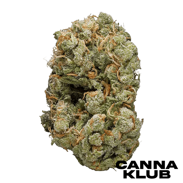BLUEBERRY DIESEL 3.5G at Canna Klub Luzerne, Recreational Marijuana Dispensary