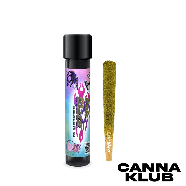 COTTON CANDY 1G INFUSED TARANTULA *5 FOR 30*