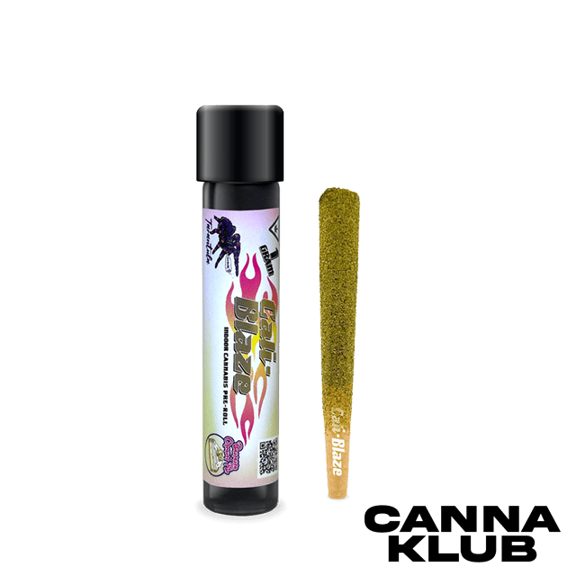 BANANA CREAM PIE 1G INFUSED TARANTULA *5 FOR 35* at The Corner Farmacy - NOW OPEN!