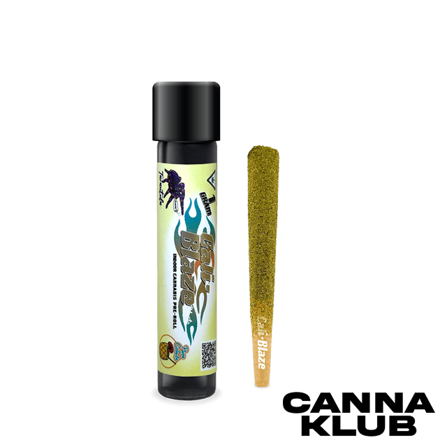PINA COLADA 1G THCA INFUSED TARANTULA at Canna Klub Luzerne, Recreational Marijuana Dispensary