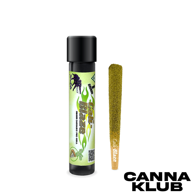 KEY LIME PIE 1G INFUSED TARANTULA *5 FOR 30*
