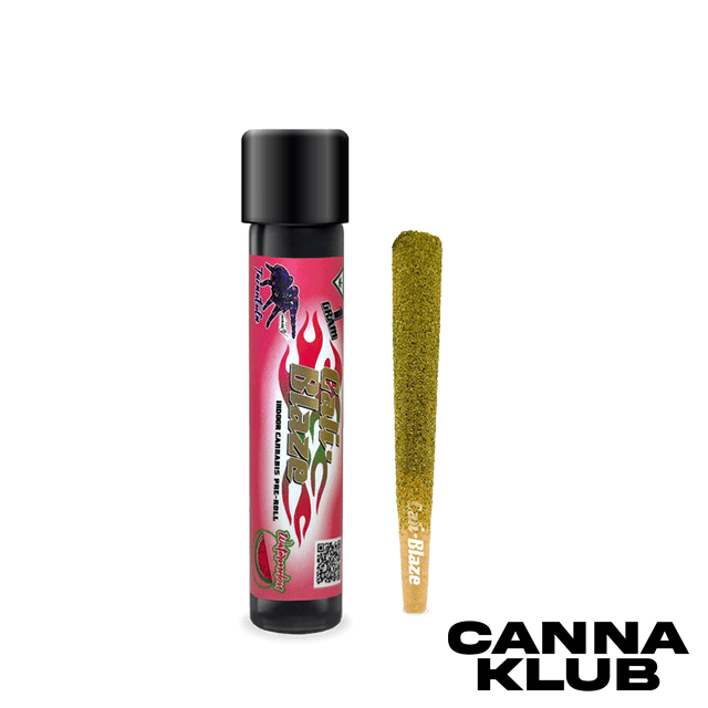 WATERMELON 1G INFUSED TARANTULA *5 FOR 35* at The Corner Farmacy - NOW OPEN!