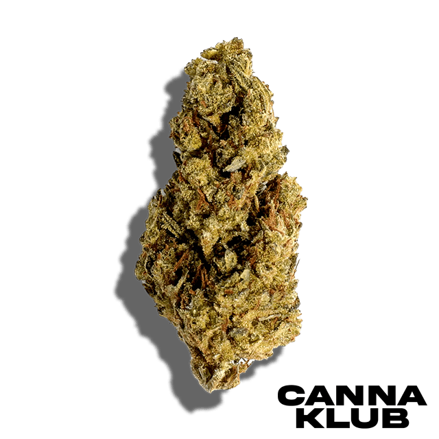 RED POP 14G SUNKISSED *2 FOR 60*