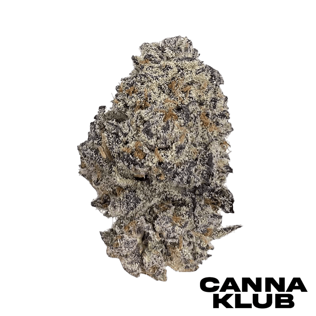 OREOZ BLIZZARD 3.5G LIVING SOIL ORGANIC *2 FOR 50*