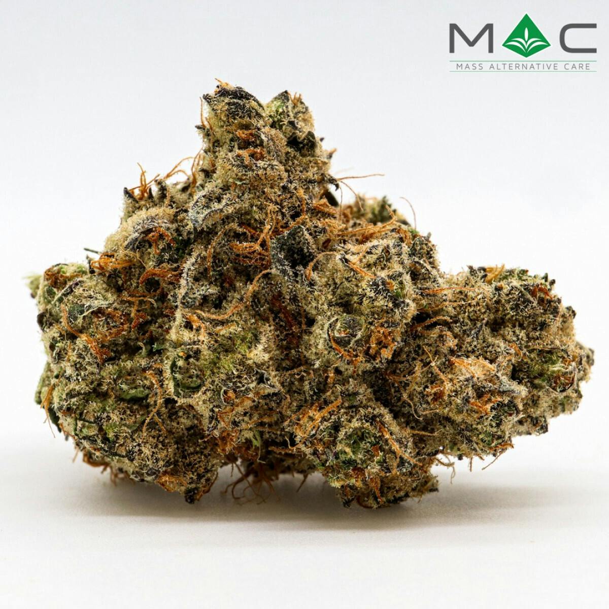 Mad Medusa-3.5g TAC 25.69% at Pioneer Valley Trading Company