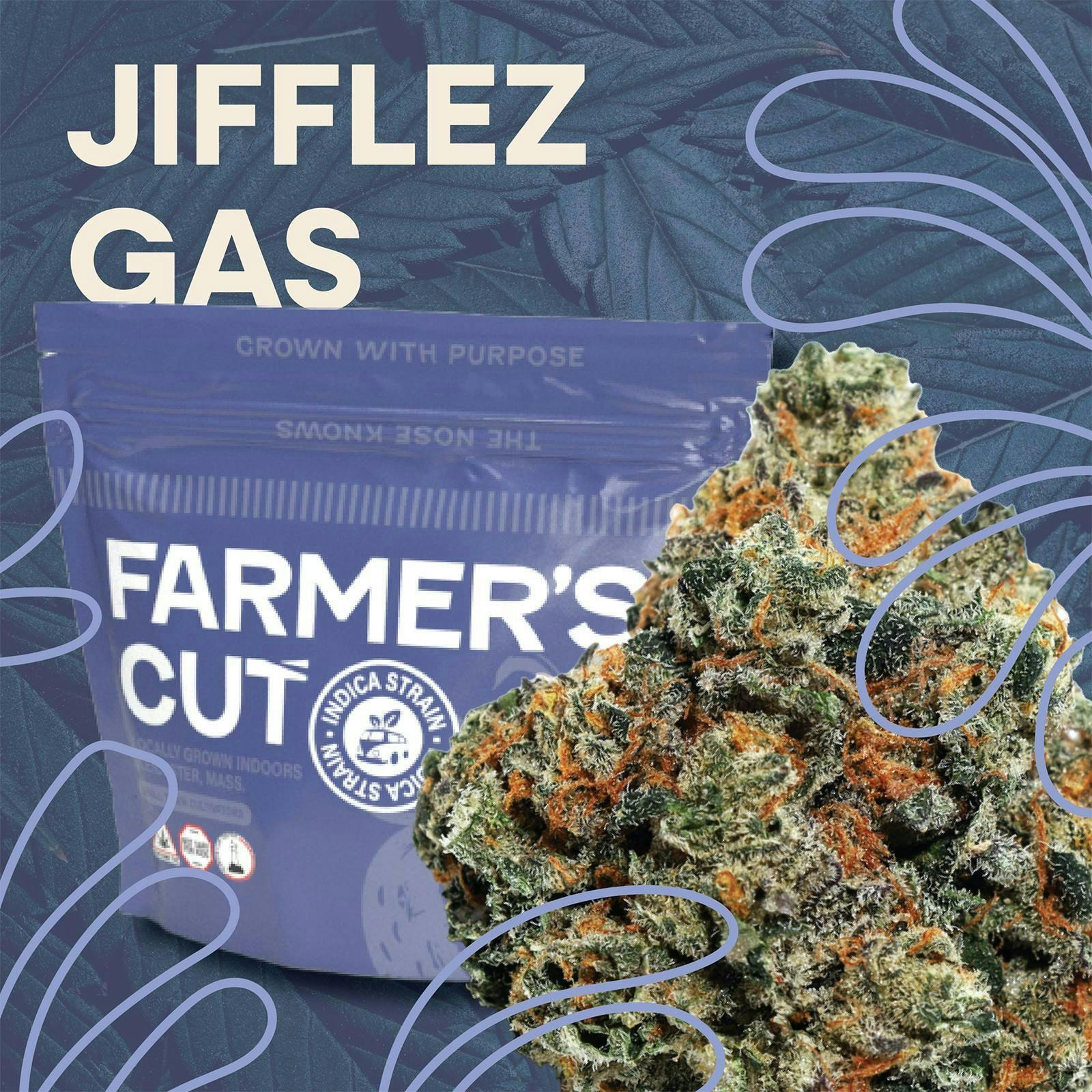 Jifflez Gas-3.5g TAC 28.3% at Pioneer Valley Trading Company Southwick