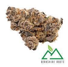 Gorilla Noir-7g Smalls TAC 21.99%