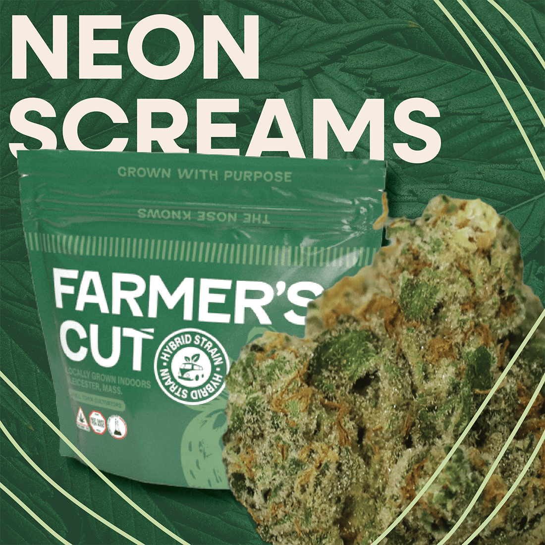 Neon Screams-7g TAC 30.02%