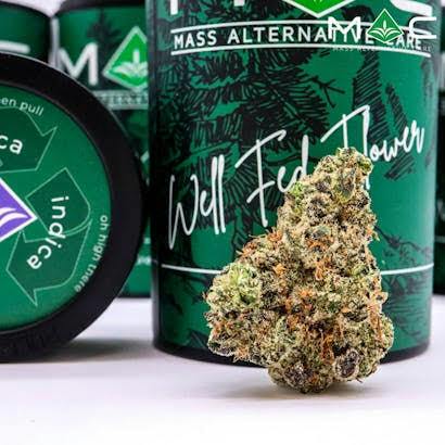 Frosty Cleopatra