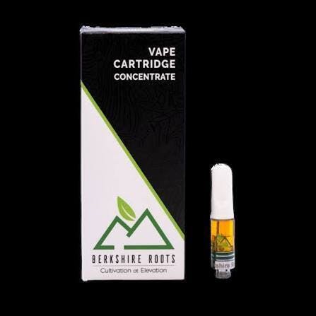 Orange Chemeleon-.5g LIVE Liquid Diamonds Cart TAC 80.51 at Pioneer Valley Trading Company