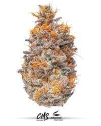 Peach Punch-14g TAC 29.96%