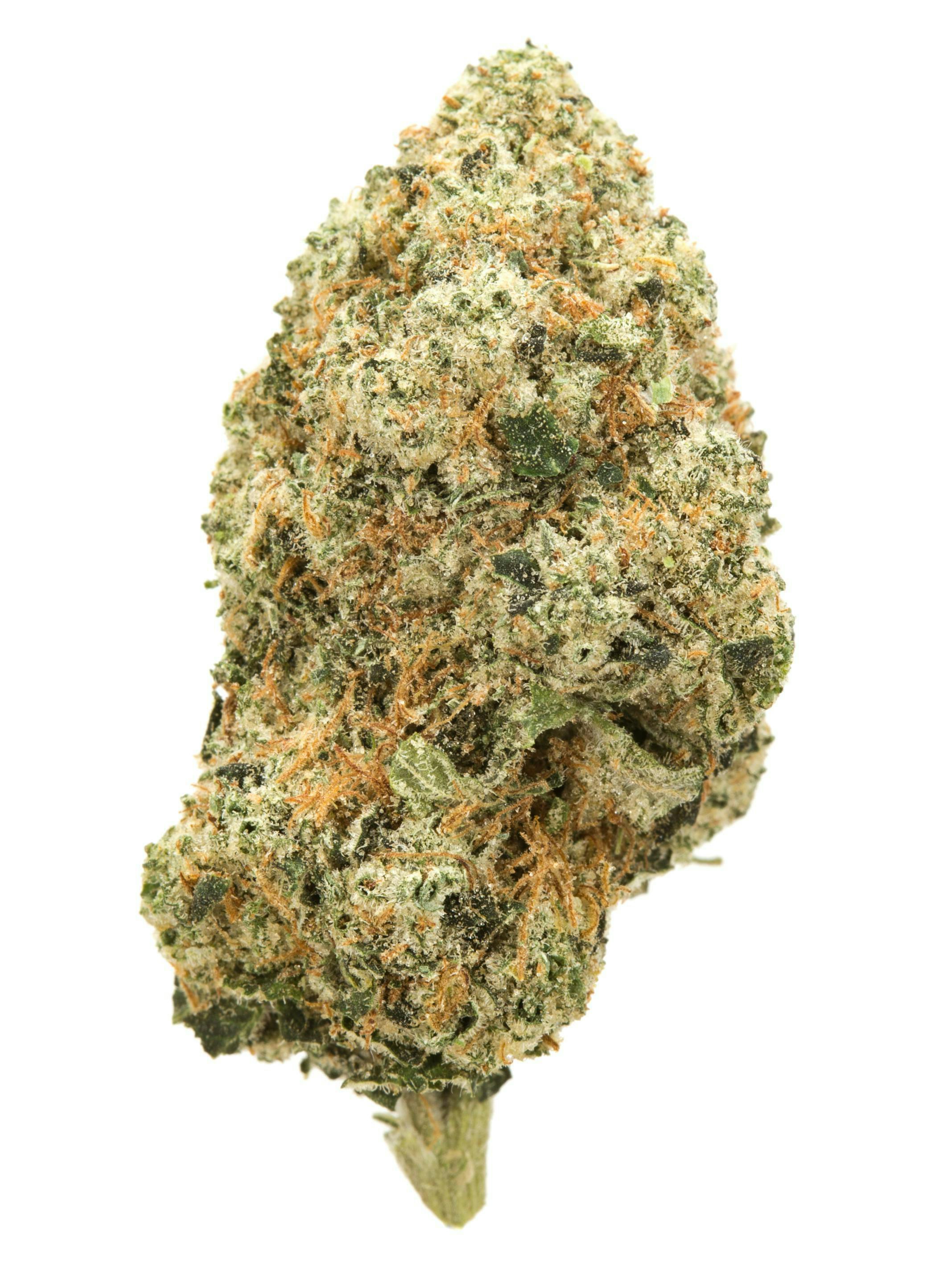 OGKB 2.0 BX-Deli TAC 31.59% at Pioneer Valley Trading Company Southwick