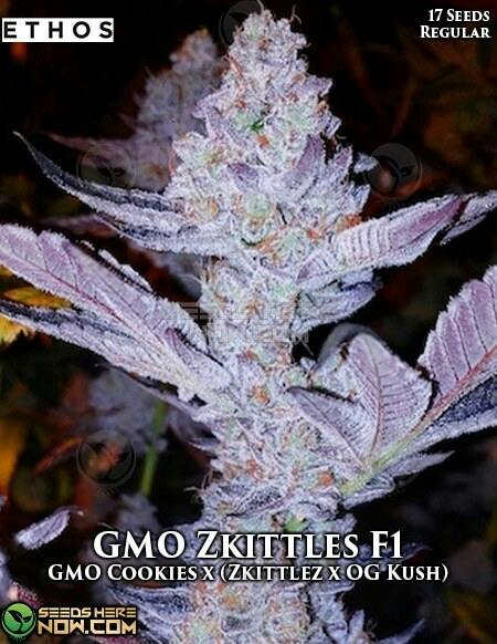 GMO x Zkittles