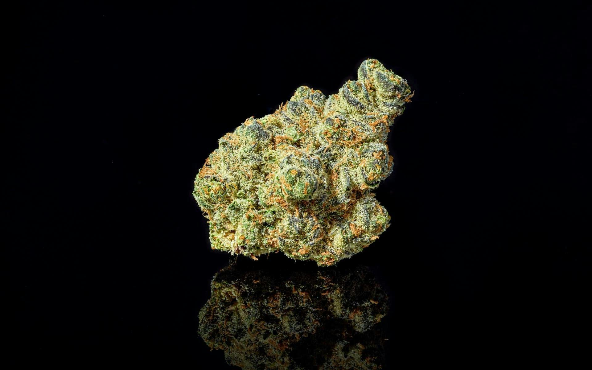 Apple Fritter