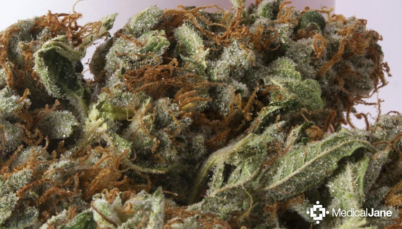 Lemon Berry Candy OG