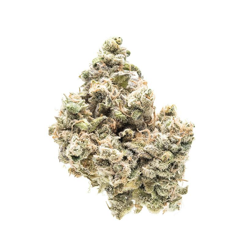 Mendoz Stomper
