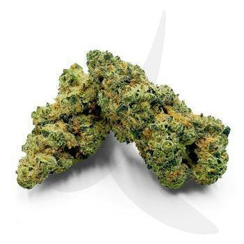 Sour Garlic Cookies Pre-roll 2pk 0.5g