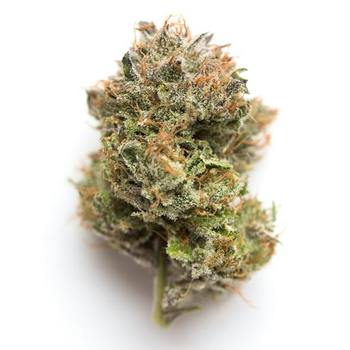 Obama Kush 1/2oz