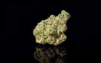 Apple Fritter Puffin 7pk