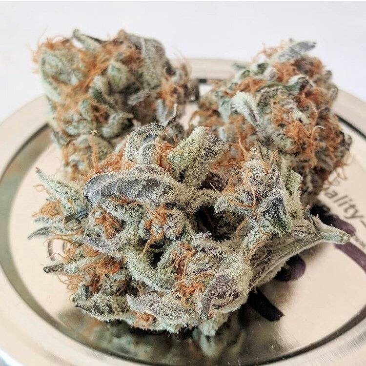 Slurricane