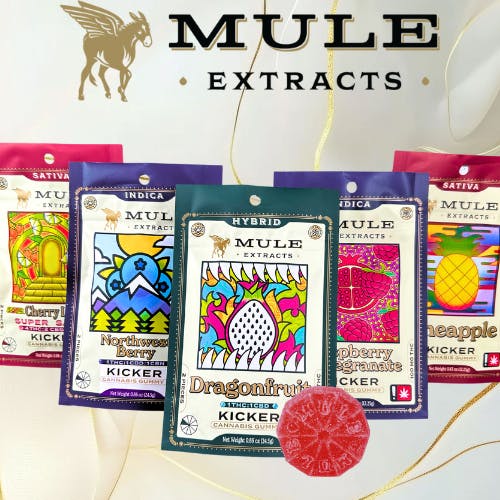 Mule: Pineapple - 100mg Gummy