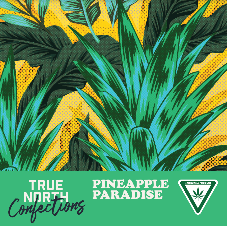 Pineapple Paradise Gummies - REC