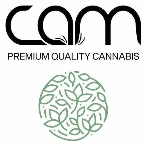 CAM | Strawberry Kiwi Rosin Gummies | 100mg | 10ct | 10mg/ea by CAM