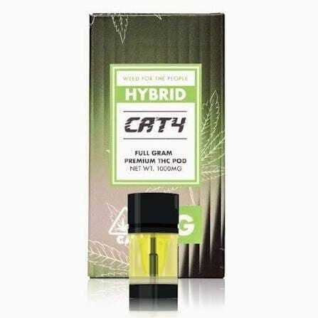 CAT4: Cat4 Rainbow Z