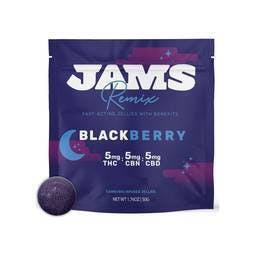Blackberry Fast-Acting Remix Jellies (1:1:1 THC:CBD:CBN) 20pk - 01650