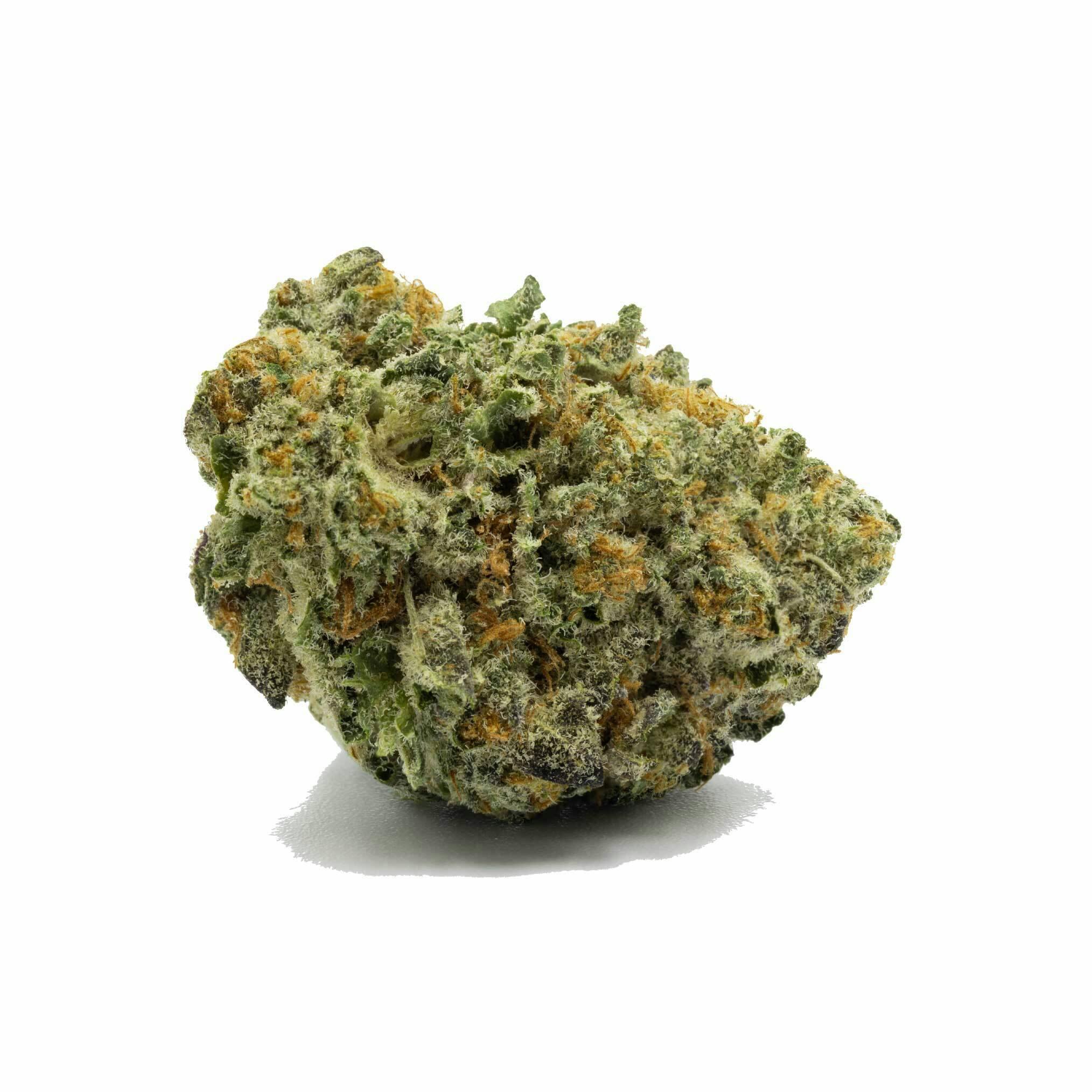 M.A.C. #5 Flower