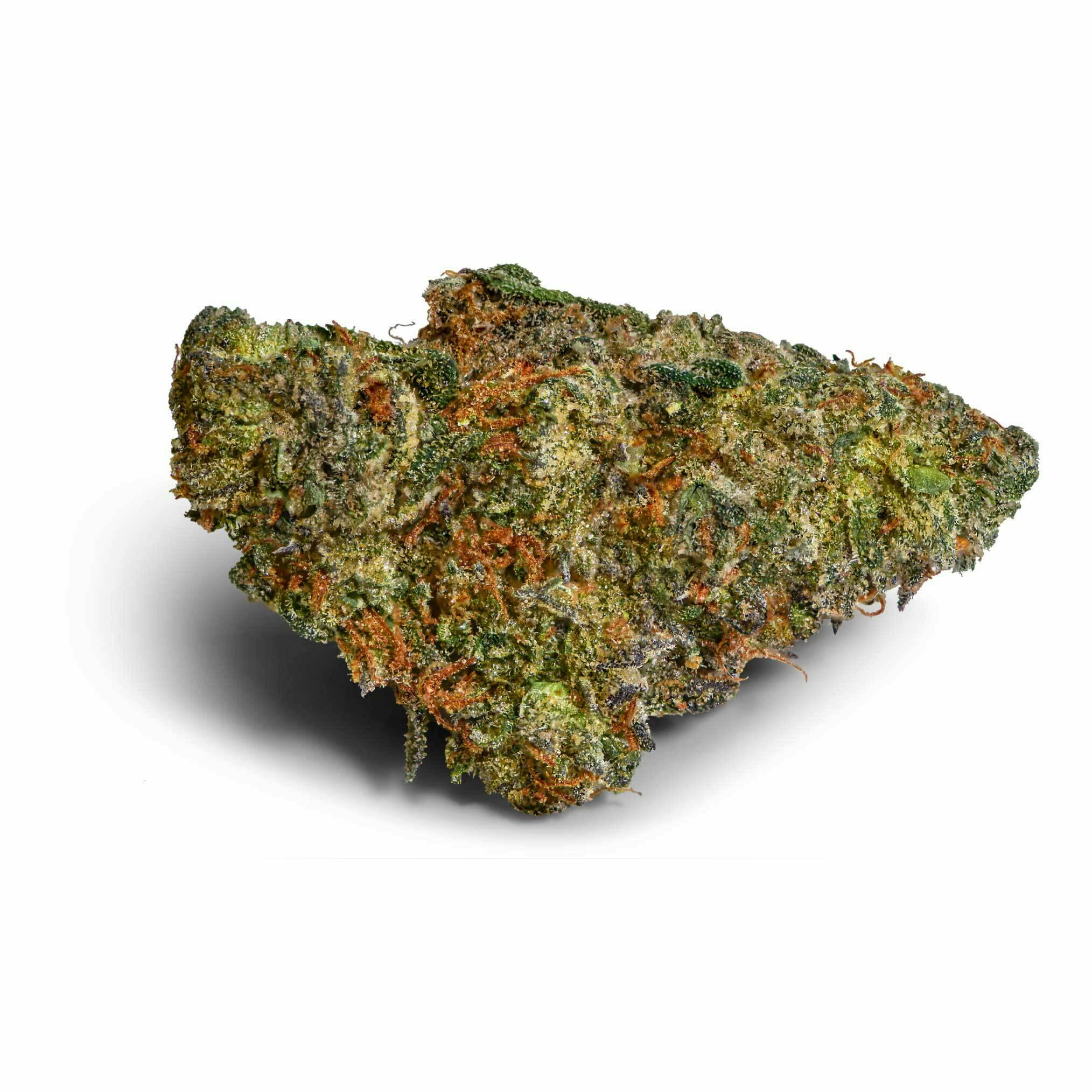 Orange Crasher Flower