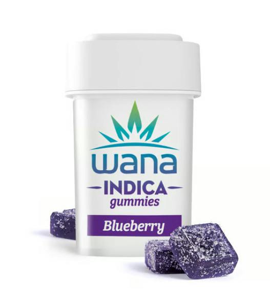 Blueberry Gummies 20pk - 00492