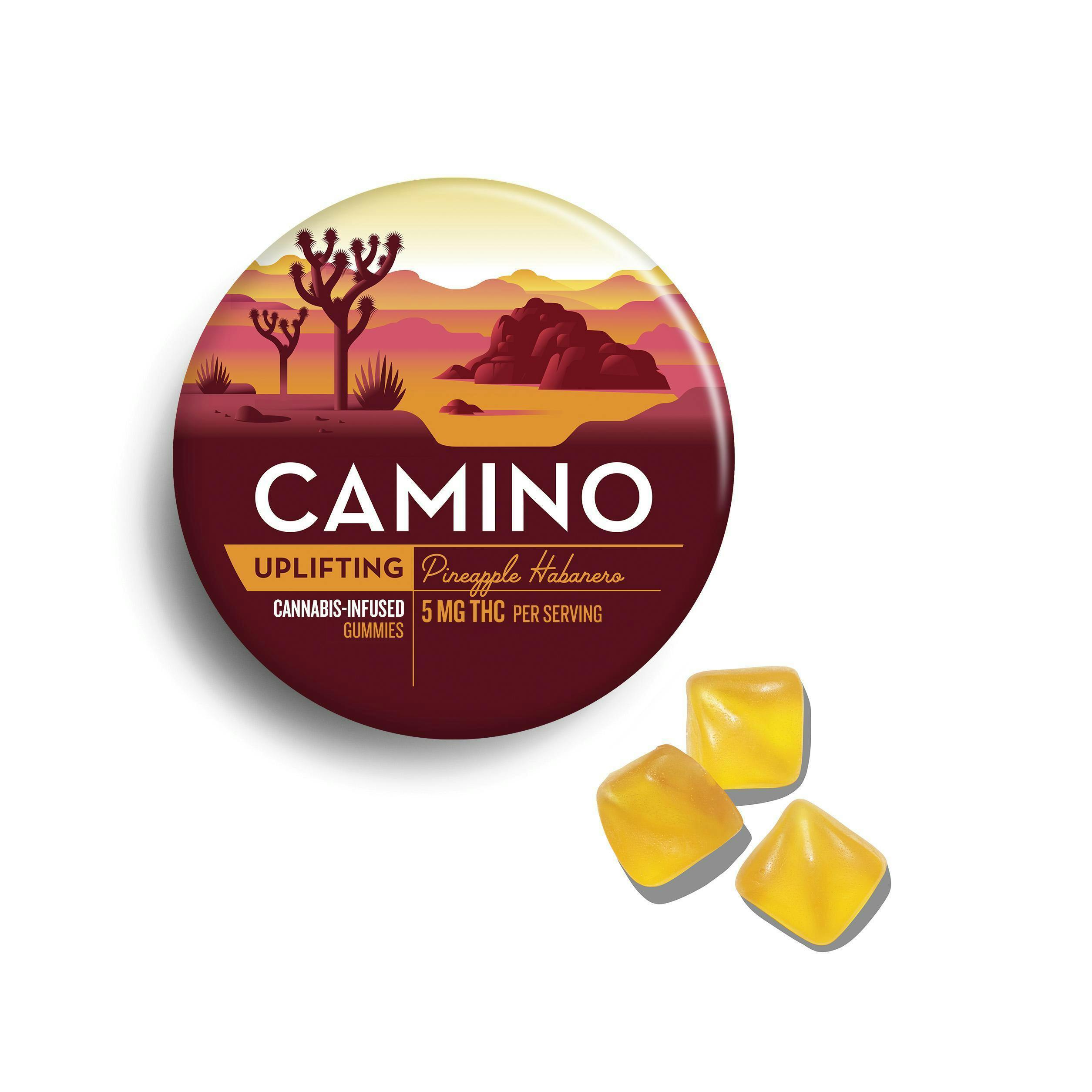Camino Pineapple Habanero Infused Gummies 92.8 mg (S) 20 Pack - 00421