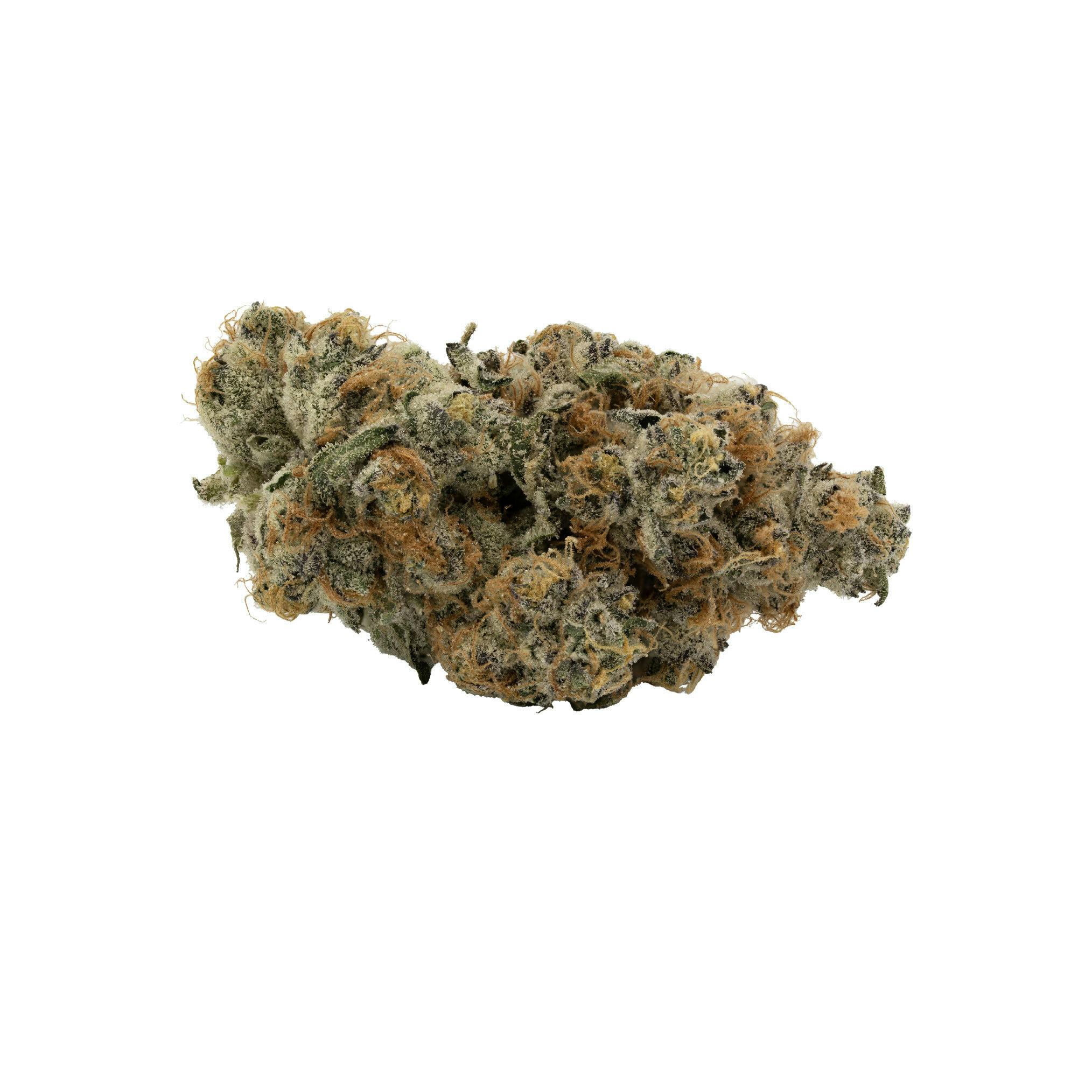 Shady Lemons 'Select' Flower - 1348908
